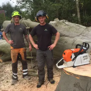 Top Dorset Tree Surgeons